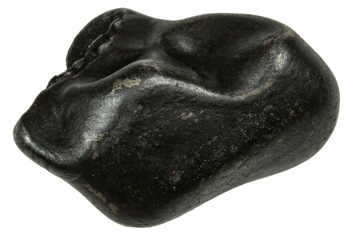 Fusion Crusted Sikhote-Alin Iron Meteorite ( g) - Russia #334532